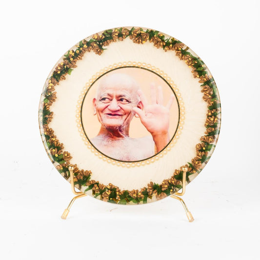 Vidhya Sagar Maharaj Frame